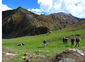 Chopta-Tungnath Trek, Panchchuli, Nanda Devi, Nilkanth, Kedarnath